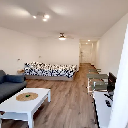 公寓 Alisio 51 Playa De Canteras 大加那利岛拉斯帕尔马斯